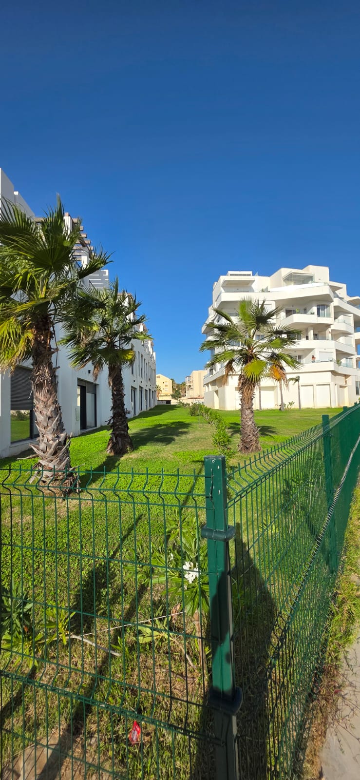 Mediterraner Gemeinschaftsgarten mit Palmen und moderner Architektur in Tarifa